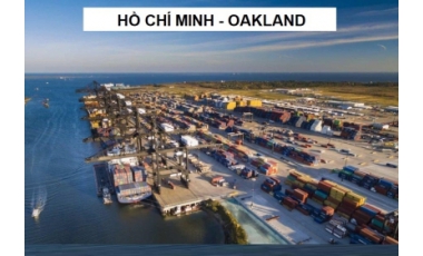 VẬN CHUYỂN HÀNG HOÁ BẰNG ĐƯỜNG BIỂN QUỐC TẾ