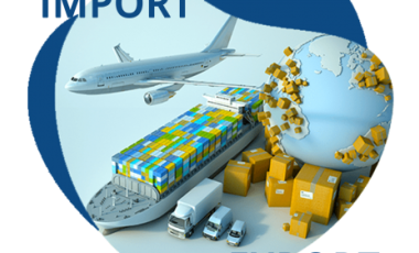 XIN GIẤY PHÉP XUẤT NHẬP KHẨU 1