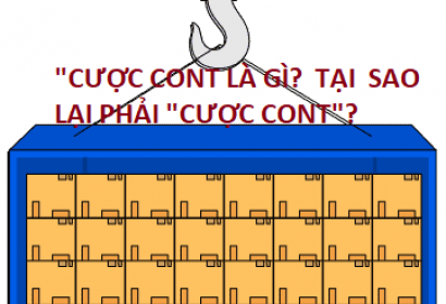 PHÍ “CƯỢC CONT” LÀ GÌ?, TẠI SAO PHẢI "CƯỢC CONT"?