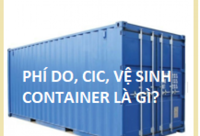 CHI PHÍ DO, CIC, VỆ SINH CONTAINER CÓ PHẢI CỘNG VÀO GIÁ TÍNH THUẾ NHẬP KHẨU KHÔNG?